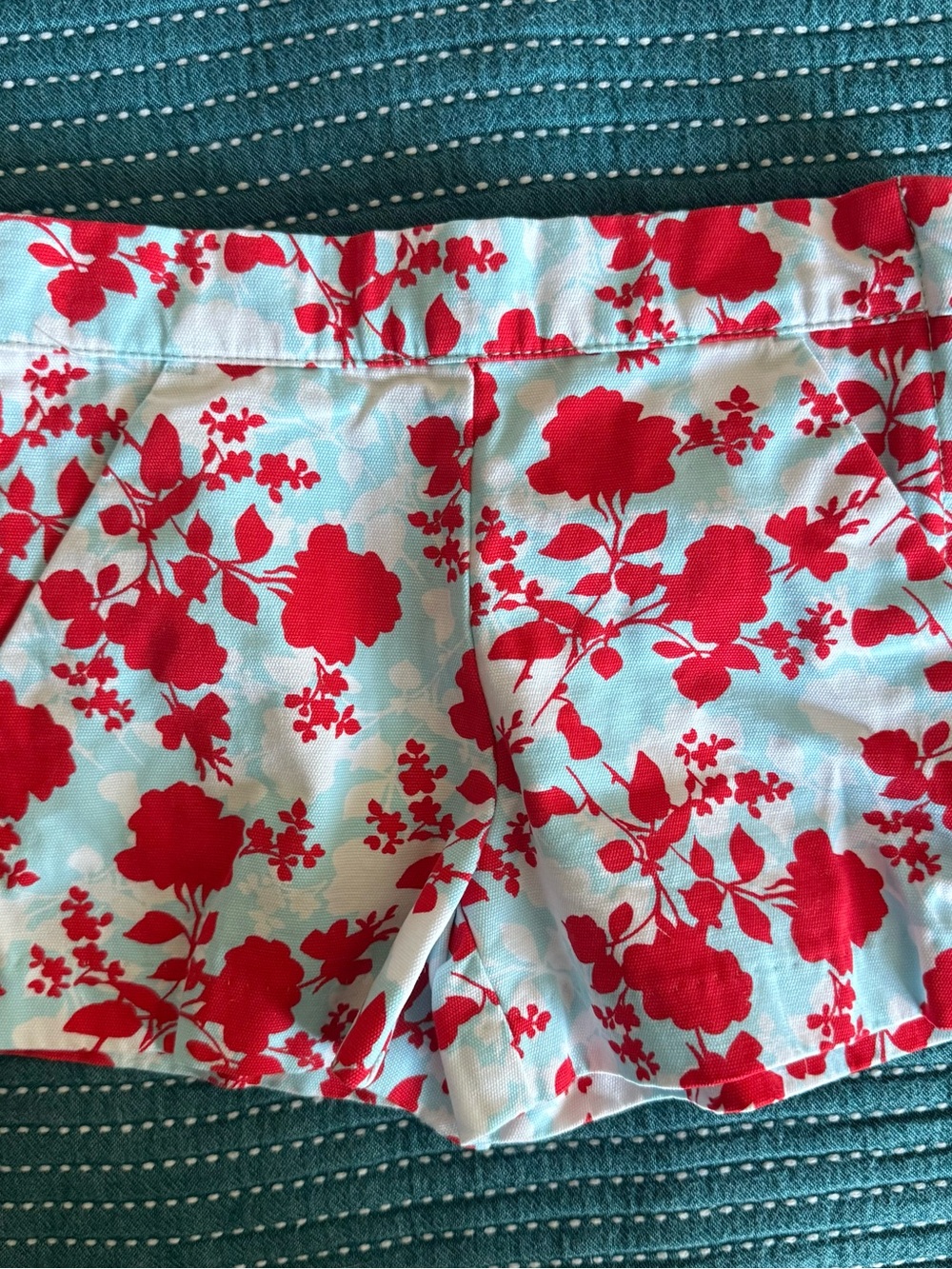 Janie and Jack Red Floral Print Shorts on Light Blue